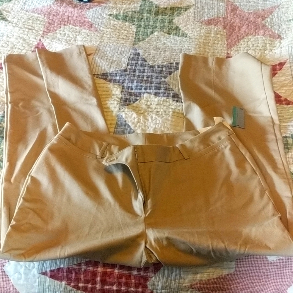 Dress pants